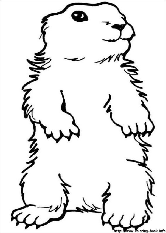 Plansa de colorat cu Marmota 21 14